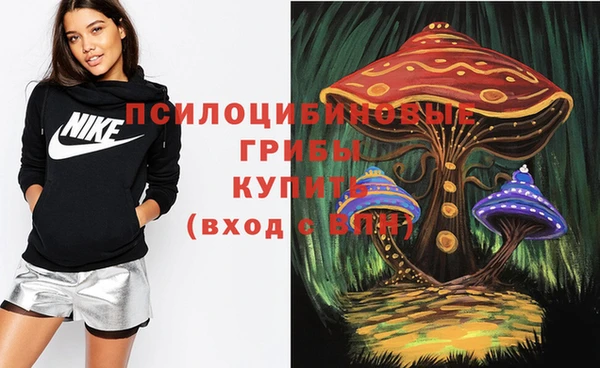 молекула духа Белоозёрский